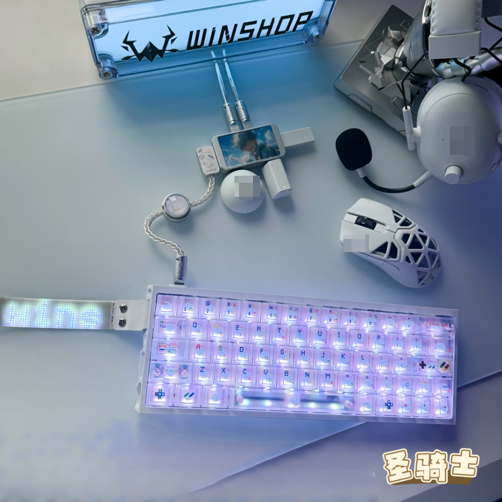 WINSHOP Gaming USB HUB 2-in-1  – Desk Setup Usb Hub Bewertung und Preis
