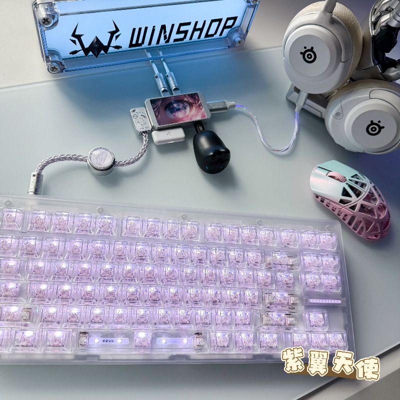 WINSHOP Esports HUB Dual-In 4- – Desk Setup Usb Hub Bewertung und Preis