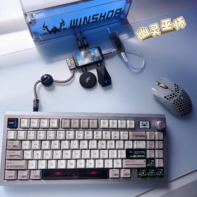 WINSHOP Esports HUB Dual-In 4- – Desk Setup Usb Hub Bewertung und Preis