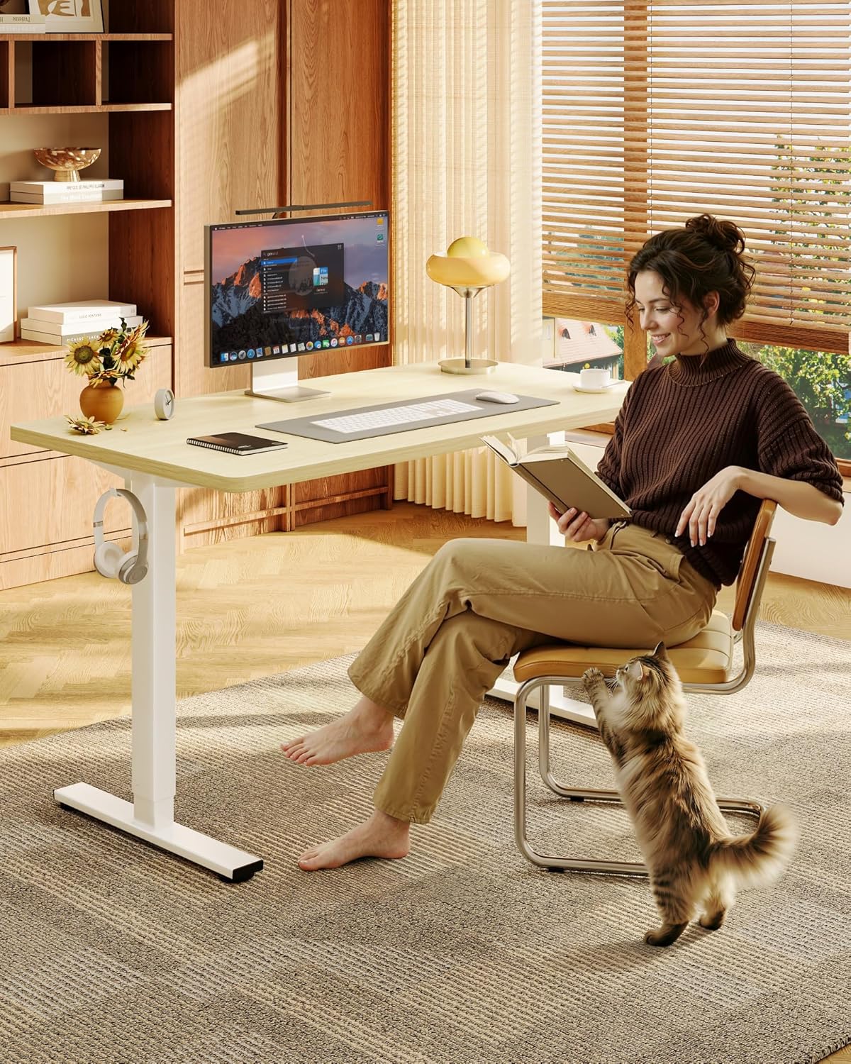 Electric Height Adjustable Sta – Desk Setup Designer Bewertung und Preis